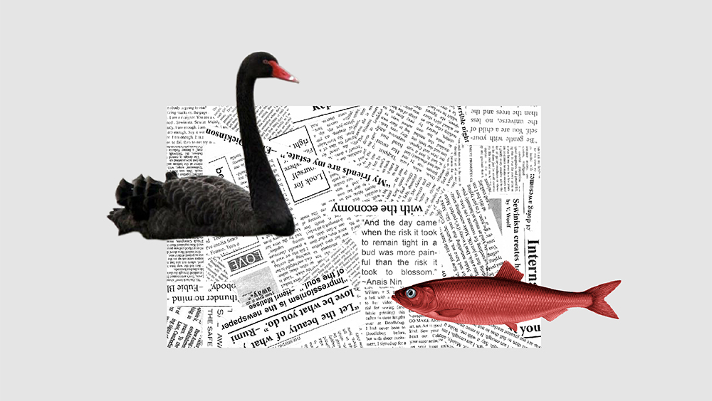 Jakke omdrejningspunkt jubilæum Red Herring & Black Swan: Five Eyes for Europe - Berlin Policy Journal -  Blog